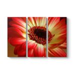 Kırmızı Gerbera Çiçeği Tablosu 111 x 75-3 Parçalı
