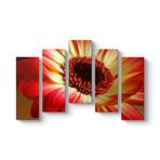 Kırmızı Gerbera Çiçeği Tablosu 112 x 72-5 Parçalı