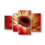 Kırmızı Gerbera Çiçeği Tablosu 119 x 80-4 Parçalı