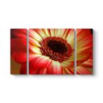 Kırmızı Gerbera Çiçeği Tablosu 126 x 70-3 Parçalı
