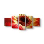 Kırmızı Gerbera Çiçeği Tablosu 127 x 56-5 Parçalı