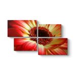 Kırmızı Gerbera Çiçeği Tablosu 143 x 83-4 Parçalı