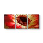 Kırmızı Gerbera Çiçeği Tablosu 156 x 70-3 Parçalı