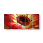Kırmızı Gerbera Çiçeği Tablosu 162 x 70-5 Parçalı