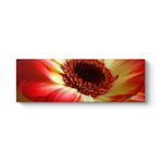 Kırmızı Gerbera Çiçeği Tablosu 180 x 60