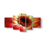 Kırmızı Gerbera Çiçeği Tablosu 182 x 90-5 Parçalı