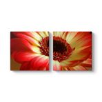 Kırmızı Gerbera Çiçeği Tablosu 63 x 30-2 Parçalı