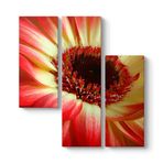 Kırmızı Gerbera Çiçeği Tablosu 96 x 100-3 Parçalı