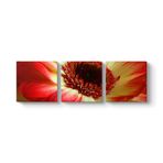 Kırmızı Gerbera Çiçeği Tablosu 96 x 30-3 Parçalı