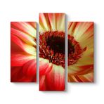 Kırmızı Gerbera Çiçeği Tablosu 96 x 90-3 Parçalı