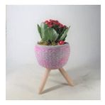 Kırmızı Kalanşo Kalanchoe & Fuşya Bers Ayaklı Beton Saksıda Hediyelik Canlı Çiçek BALFLOWERDESİGN-2514