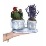 Kırmızı Kalanşo Kalanchoe & Kokulu Lavanta & Eskitme Face Beton Saksıda Hediyelik Canlı Çiçek BALFLOWERDESİGN-2516