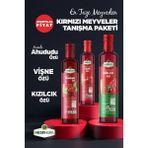 Kırmızı Meyveler Tanışma Paketi Naneli Ahududu Özü - Vişne Özü - Kızılcık Özü 350GR - 350 g
