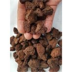 Kırmızı Pomza Taşı 15-25 mm 2 kg Volkanik Ponza Lav Taşı Ponza Kaktüs Sukulent Pomzası Tar�