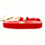 Kırmızı Renk Kadın Kadife Choker Kolye