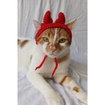 Kırmızı Şeytan Bandana Şık Örgü Kedi Köpek Şapkası Evcil Hayvan Şapkası Pet Aksesuarları