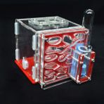 Kırmızı Stil 8X8X10CM Kendi Yapımı Akrilik Karınca Çiftliği Evcil Karınca Yuvası Atölyesi Karınca Evi ile Nemlendirme Su Kulesi Villa Kale Için Karınca 5 Katlı 8*8*10CM (Yurt Dışından)