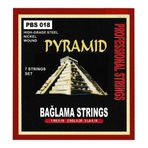 Kısa Sap Bağlama Saz Teli Pyramid - 0.18
