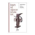 KIŞIN BIR AĞACIN BINDE BIRI - ERIC STINUS
