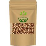 Kişniş Tohumu (Coriandrum Sativum) 50GR - 1 Adet