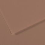 Kitabevimden Canson Fon Kartonu (Dokulu) Mı-Teıntes Sh Canmt 50X65 160 gr Brown (10 Lu) 188 - Çok Renkli - tek