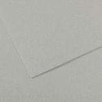 Kitabevimden Canson Fon Kartonu (Dokulu) Mı-Teıntes Sh Canmt 50X65 160 gr Grey 354 - Çok Renkli - tek