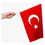 Kitabevimden Vatan Bez Bayrak Sopalı 20X30 VT225 (10 Lu 1 Paket) - Çok Renkli - tek