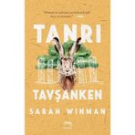 Kitap Yabancı Yayınevi Ciltli Tanrı Tavşanken