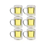 Kitchen Design Lab Çift Cidarlı Borosilikat Cam Kupa 200 ML 6 Adet - 1837