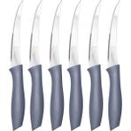 Kitchen Design Lab Gri Renkli 6 Adet Lazer Kesim Tırtıklı Orta Boy Meyve Sebze Bıçağı - 22 cm