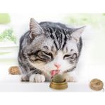 Kitchen Kedi Nanesi Cat Mint Oyun Topu