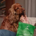 Kito Dana Akciğer Küp Atıştırmalık Ödül Maması%100 Doğal, Glutensiz, Organik 100 Gr (Dog Treat)