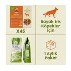 Kito Fresh 15 kg 45 Adet Kuzu Etli Yetişkin Köpek Maması