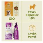 Kito Fresh 2.5 kg 10 Adet Hindi Etli Yavru Köpek Maması