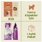 Kito Fresh 2.5 kg 10 Adet Somon Etli Yavru Köpek Maması