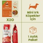 Kito Fresh 2.5 kg 20 Adet Kuzu Etli Yetişkin Mini Irk Köpek Maması