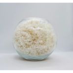 Kitosan ( Chitosan ) 1 Kg - %90-95 Dislitasyon Toz Form