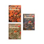 Kitsan Yayınları Risaleler Cilt 1- Cilt 2- Cilt 3 -Muhyiddin Ibn Arabi - 3 Kitap Takım