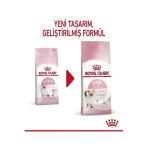 Kitten Bağışıklık Güçlendirici Yavru Kedi Maması 2 Kg