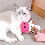 Kitten Next Door Mahalle Kitten Pet Oyuncak Peluş Tavşan Inek Fil Sondaj Sevimli Köpek Oyuncak (Yurt Dışından) - Koyu Pembe - tiger