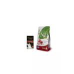 Kitten Tahılsız Yavru Kedi Maması 1,5 Kg + Miamor Cat Cream Ödül