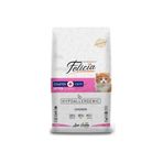 Kitten Yavru Kedi Maması 12Kg