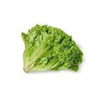 Kıvırcık Tohumu Marul Kışlık Paket 5 Gram