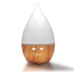 Kiwi KAH-6616 Aroma Difüzörü ve Ultrasonik Hava Nemlendirici