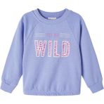 Kız Çocuk Sweatshirt 13205917 - 9 - 12 Ay - Mor