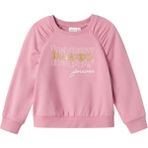 Kız Çocuk Sweatshirt 13233837 - 1,5 - 2 Yaş - Orkide