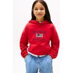 Kız Çocuk Th Sequin Bayrak Kapüşonlu Sweatshirt - Kırmızı - 6 Yaş
