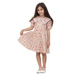 Kız Çocuk Vintage Çiçekli Yakalı Poplin Elbise (Pudra, 1-2 Yaş)