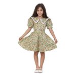 Kız Çocuk Vintage Çiçekli Yakalı Poplin Elbise (Yeşil, 2-3 Yaş)