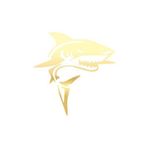 Kızgın Köpek Balığı Araba Sticker 17X17 Cm Gold